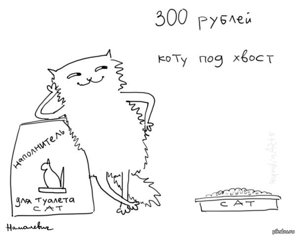 что такое коту под хвост. Смотреть фото что такое коту под хвост. Смотреть картинку что такое коту под хвост. Картинка про что такое коту под хвост. Фото что такое коту под хвост