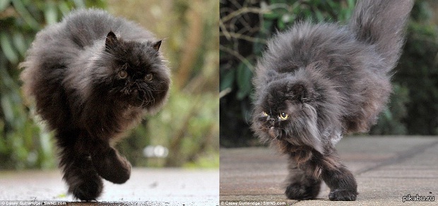 ���-������� �������� ������ �� ���� ������ �����