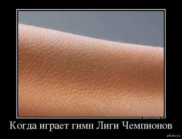 Лига Чемпионов она такая!
