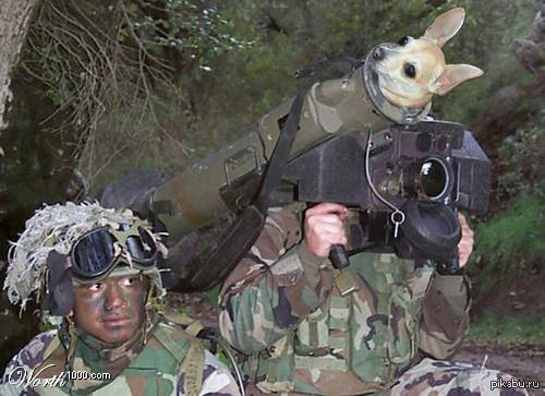 Секретные учения армии США прошли в австралийских лесах