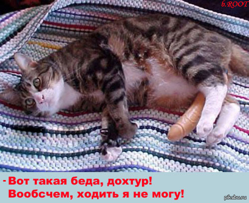 ������������ ����� � ���������� � ��������� �� ���)) ����� ��� ������ ����� ����, ���� � ������ ������)