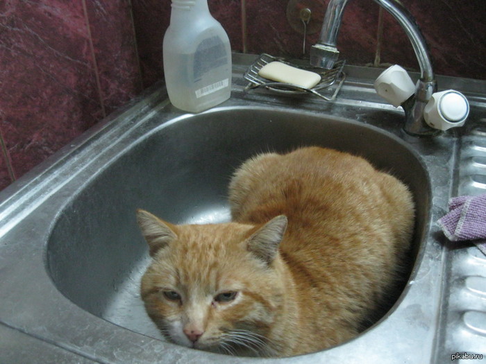 �� ������ ��� ������)