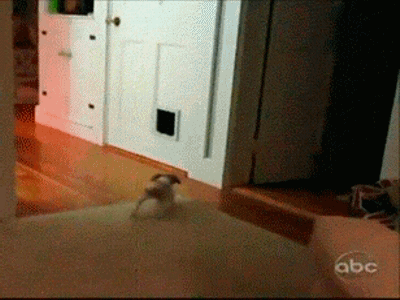 ! 