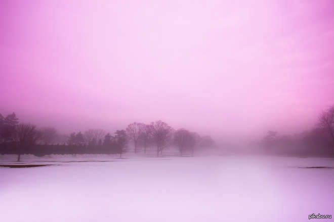 Розовый туман желтая