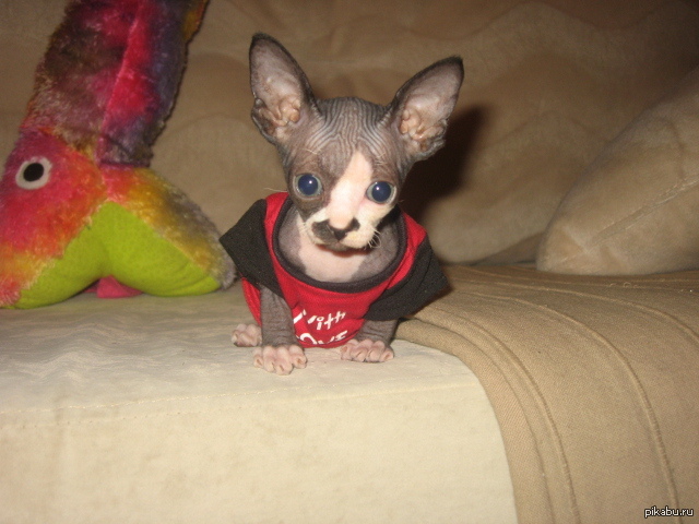 ��� ��������� ����!!!