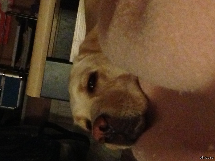 ������ �� ���� �� ������� ����������� � ����� ���� �� �����