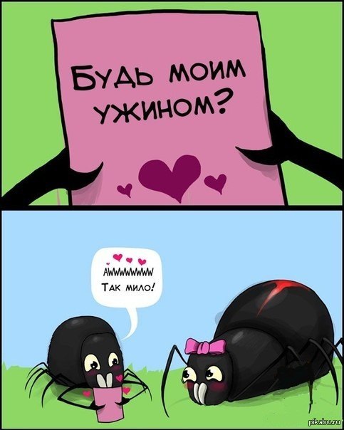 � ���� ������� ���������!