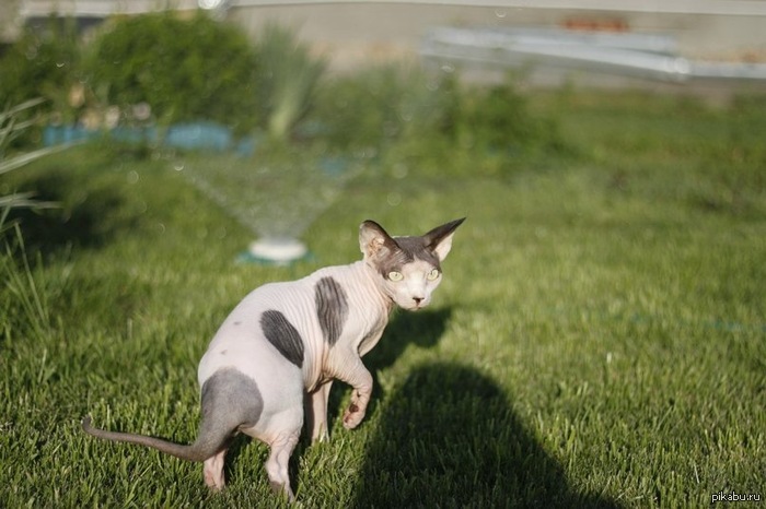 � ��� ���� ��� ����� :)