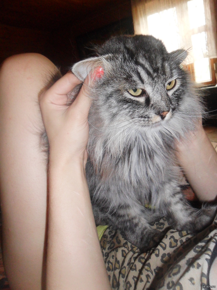 ��� ����� ����� ����,�� ��� ��� ������� ������)))