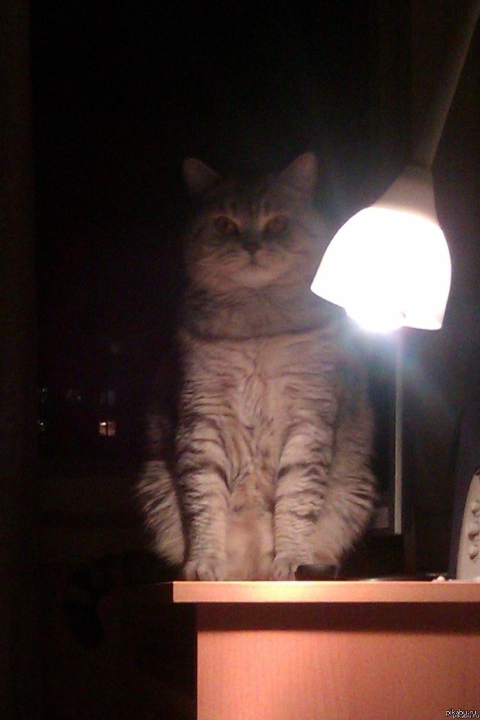 Так-то время уже настало.