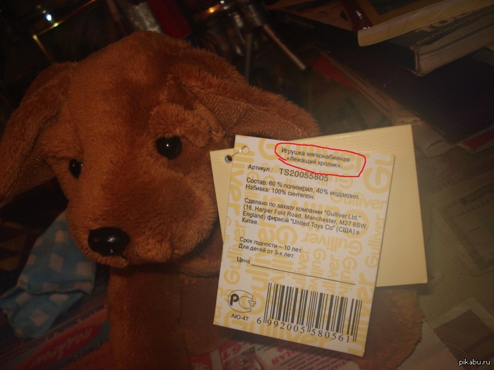 ����� �������� ��������� �������, � ���)