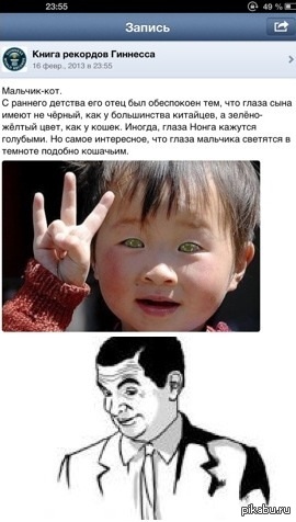 Так кошек в Китае не только едят