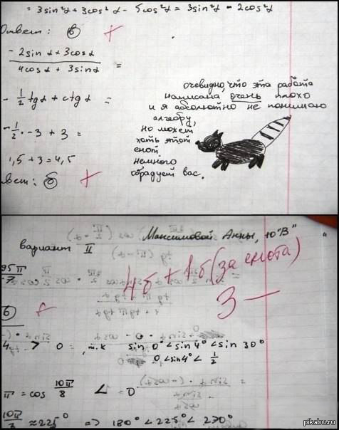 Енот :)