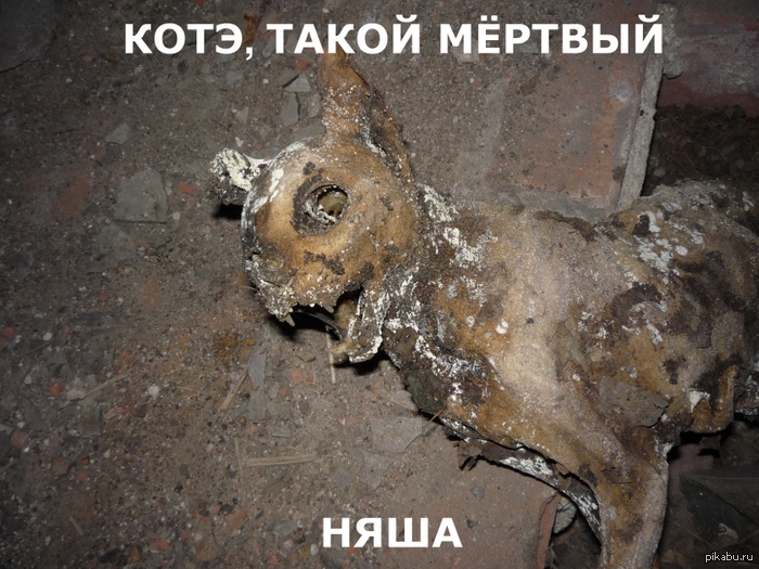 ����, ����� ������