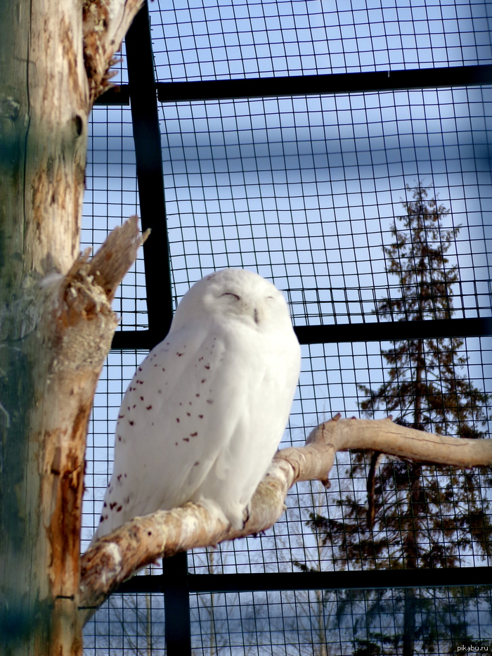 ���������?)