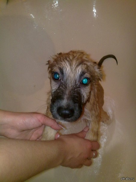 ������ ���)))