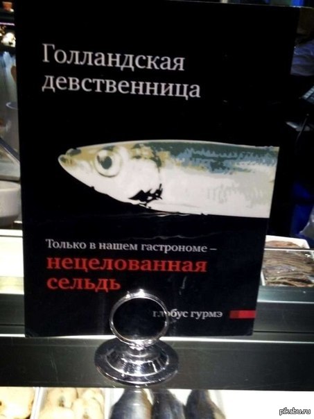 Голландия | Пикабу