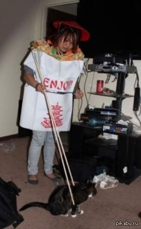 Так будет со всеми котейками пикабу, если их постить в таком количестве!