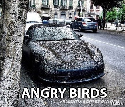 ���� �����