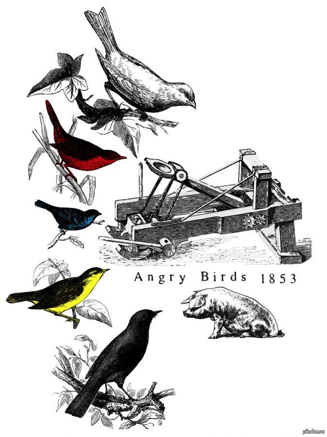 Angry Birds.1853. 