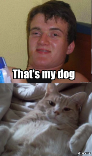 Это моя собака..
