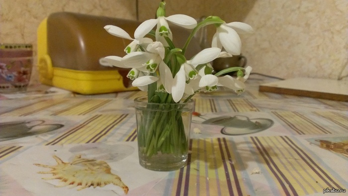 �������� �������.