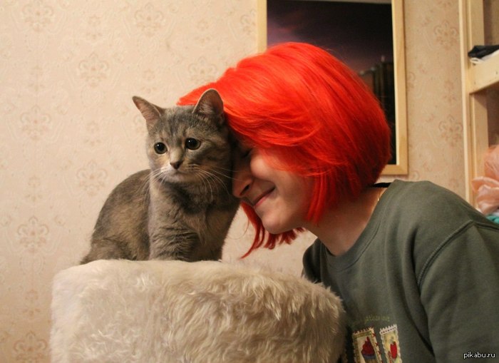 ������ :3
