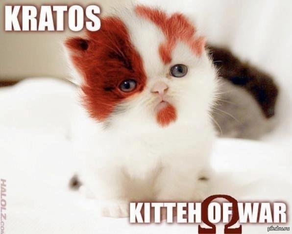 KRATOS kitty