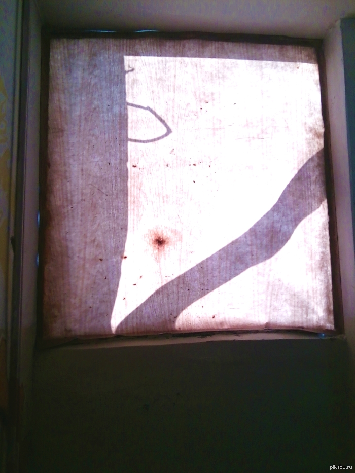 � ����������� ����� �������� ���� ='(