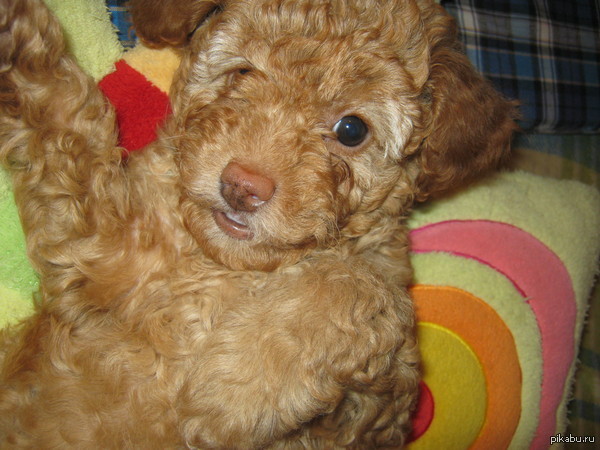 �� ������ �� ����� ����� ���...^^,