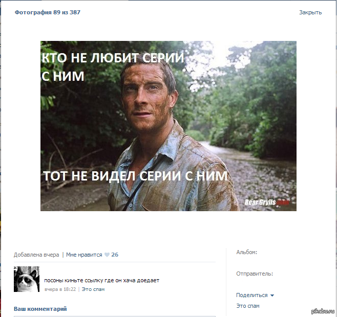 Беар такой беар )) | Пикабу