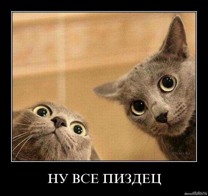 ���� ��� ���� ����� ?...