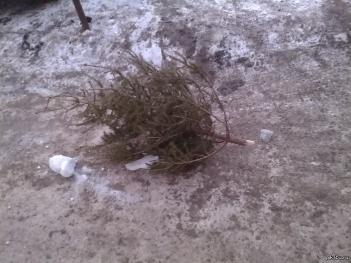 �� ����� �������� ����, ������,  ����������� �������� ��������� ��� ����� ���)