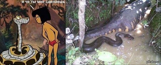 �������������