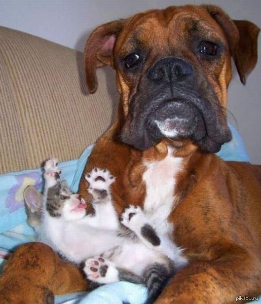 ��� ���? � �� � �����...