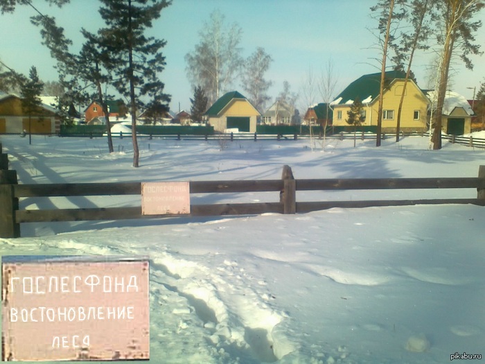 Грамотно подошли к работе