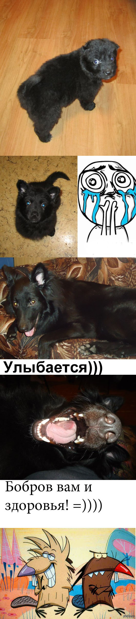  .  . 2 .    ,        5 - 5,7 % .