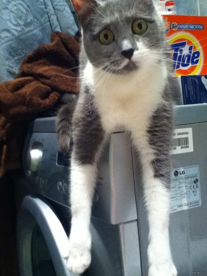 Ну и что ты смотришь?