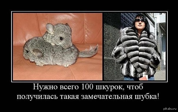 Правда глаза колит