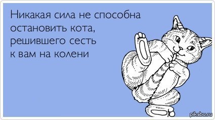 ����������.