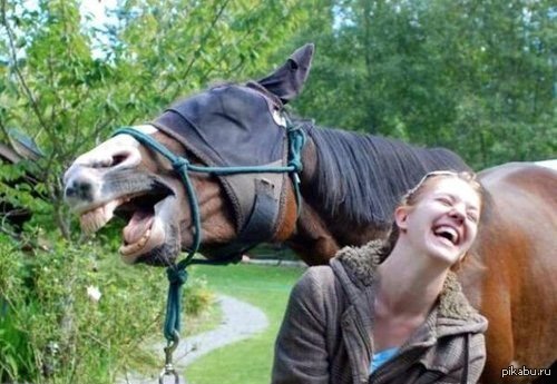 Ну ты, хозяйка, и приколистка!