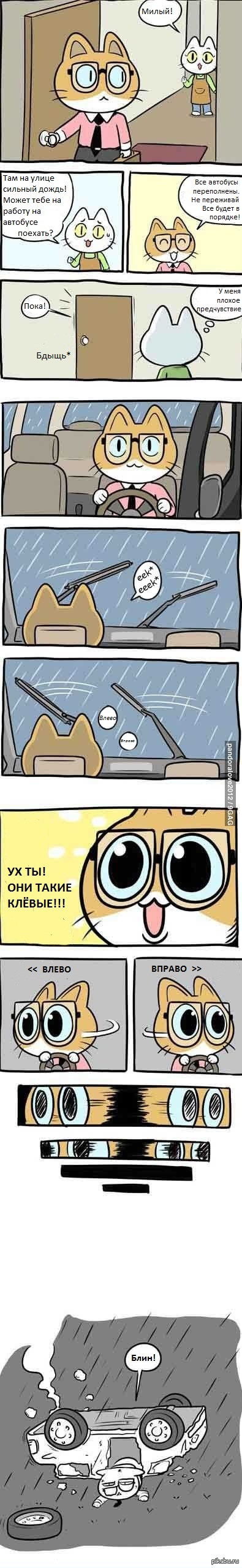 ������ ����� ������ ��������.