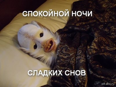 �� ������ ������ �����������