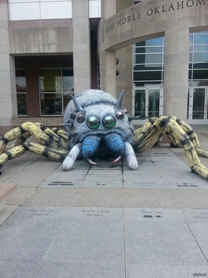 "Почему моя дочь боится ходить в музеи."