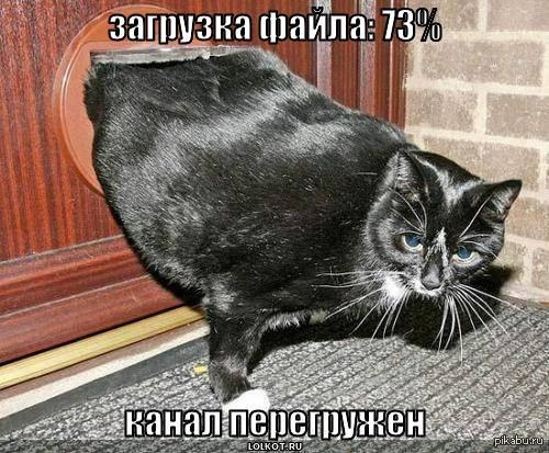 ��������� ��������