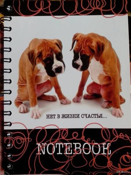 Подарочек на 23 февраля