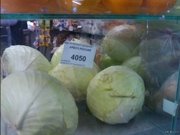 Астраханская капуста прикол. Капуста арбуз. Капуста арбуз. Капуста арбуз. Тыква и капуста.