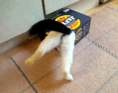 ����� ����� ������ ����, ��������� ��� �����=)