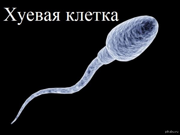 ������ ���������