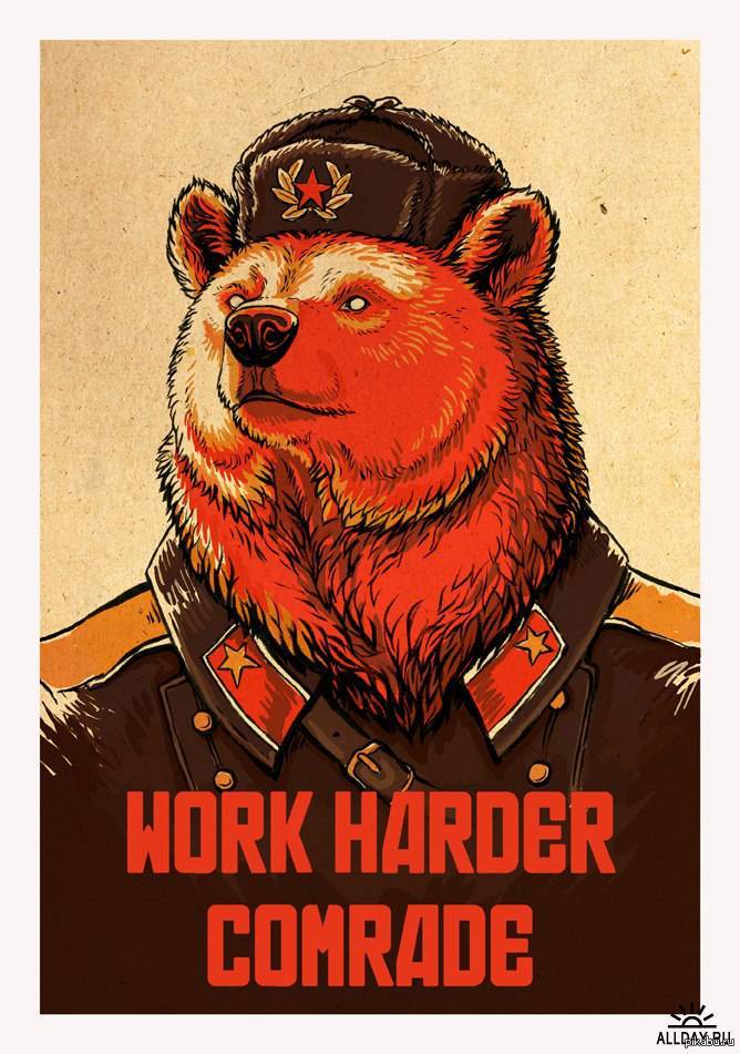 Soviet bear. - Pictures and photos